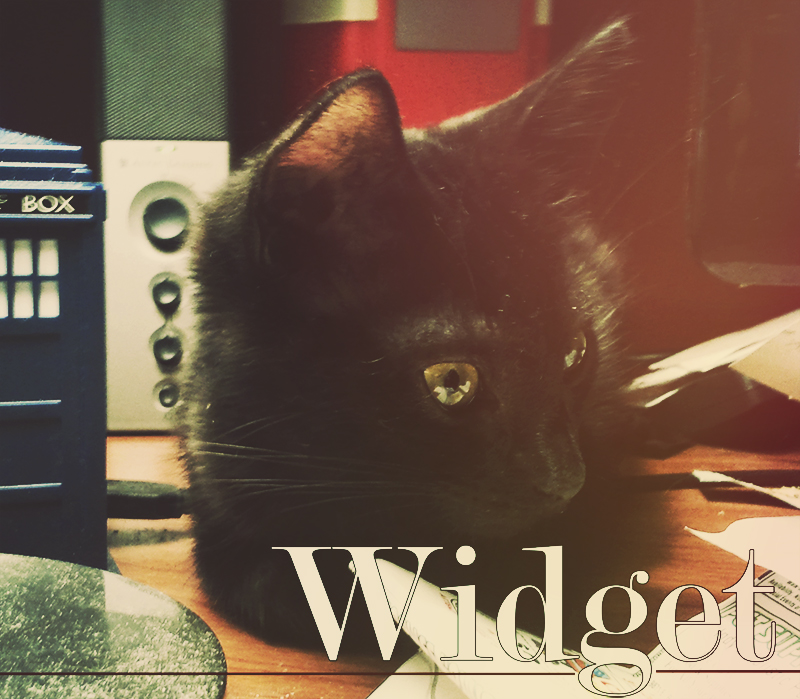Illustration for article titled Indisputable Proof Cats are Superior